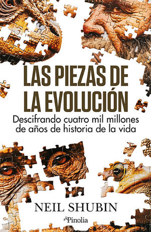 PIEZAS DE LA EVOLUCIN, LAS