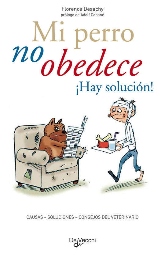 MI PERRO NO OBEDECE HAY SOLUCION